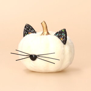 yő|Cg10{ znEB CeA u G lRڂ pvL 9cm ubN zCg t Iׂ2F p[eB[  fBXvC Be  Mtg v[g