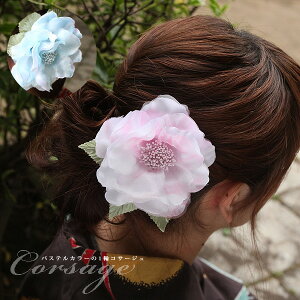  Nbv a  l ܎O Ǝ w  wAANZT[ 񂴂  pXeJ[1փRT[W   䂩  я 茋 Ԃ pXe