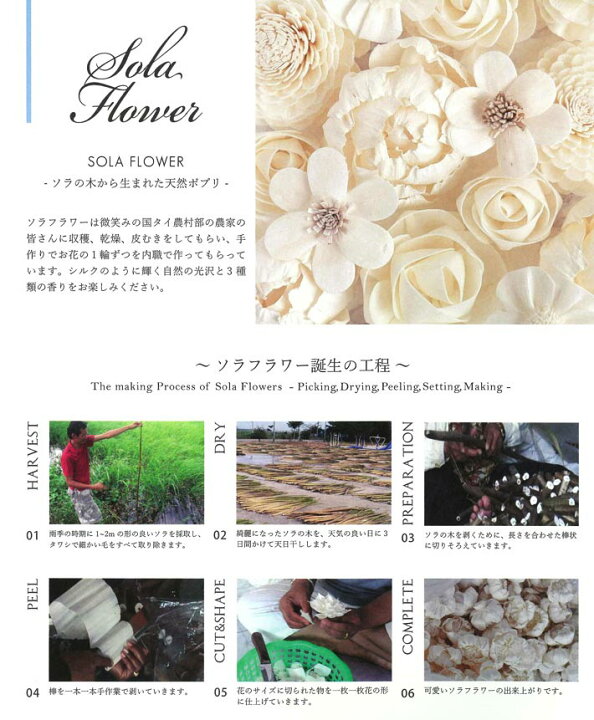 楽天市場 グラスボウル ポプリ 花 ソラグラスボウル Sola Flower Glassbowl ポプリ ローズ ダリア ピオニー インテリア 装飾 玄関 ギフト プレゼント 造花 ミッシュ キッシュ