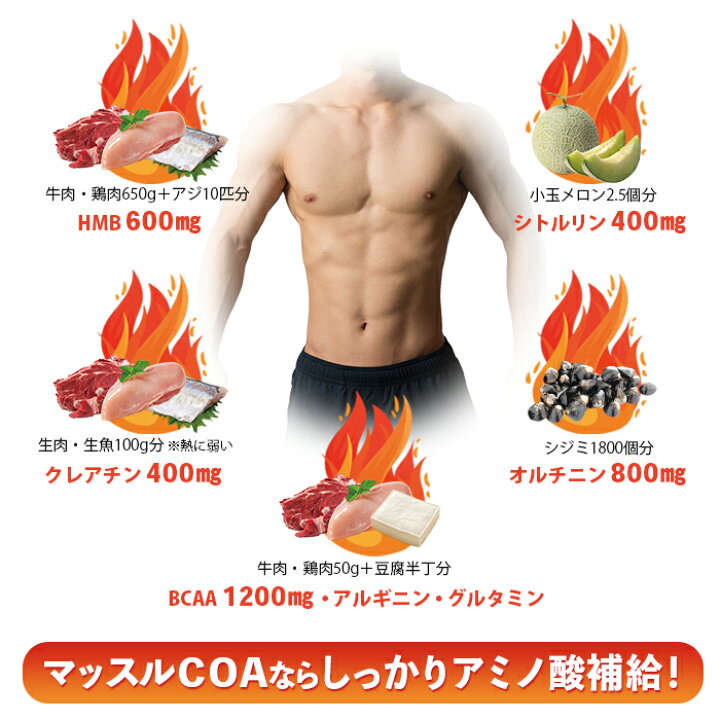 楽天市場】マッスルCOA ｜ HMB HMB配合 筋肉 ボディライン ボディ 