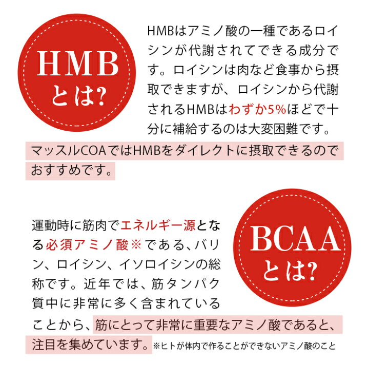 楽天市場】マッスルCOA ｜ HMB HMB配合 筋肉 ボディライン ボディ 