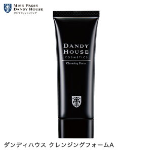 洗顔料 ダンディハウス公式 クレンジングフォームA 80g メンズ スキンケア プレゼント 毛穴ケア 2WAY ピーリング 泡洗顔 敏感肌 脂性肌