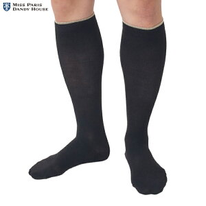 \bNX _fBnEX nC\bNX ubN Y ӂ͂ ނ   C L hL iK