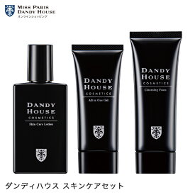 スキンケアセット ダンディハウス公式 オールインワンジェル クレンジングフォーム スキンケアローション 3点セット メンズ 洗顔 スキンケア プレゼント