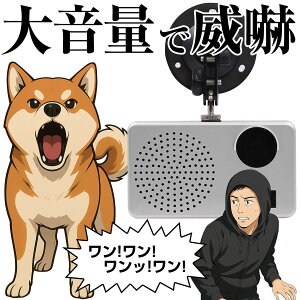 剹 90db h O ZT[ A[ Ԍ  i i  MP3  Њd TC ľm ̌m lZT[ PIRZT[ [d obe[ hƑ΍ 󂫑΍ sR H