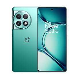 OnePlus Ace 2 Pro PJA110 Dual Sim 24GB RAM 1TB 5G 緑 新品 SIMフリー スマホ 本体 1年保証