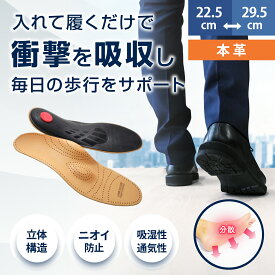 革靴 インソール 中敷き レザー レザーインソール 衝撃吸収 サイズ調整 薄型 本革 消臭 革 蒸れ 通気性 ムレ ニオイ つま先 湿気 ローファー かかと 足裏 立体 パンプス レディース メンズ レディース ミスターミニット