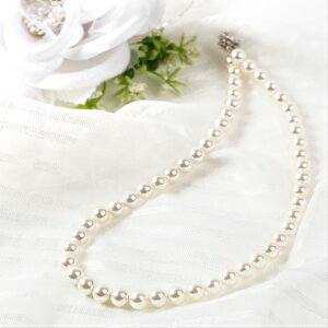 yRXpŋIi Lp[lbNX ^ 8mm 41cm`z    Ǝ w  ܎O  ̓ zCgf[  I p[eB[ EGfBO ʖ 