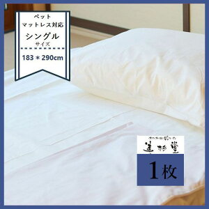 y1`ztbgV[c 100yTCYF 183cm×290cmzyzCgzyVOxbgΉzyVO}bgXzy\zyƖpzylTvCΉzyCxgzy