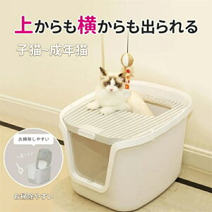 LgC 傫 lRgC tJo[ ˂gC h[ c[hALgC LgC ^ ォ qL LbggC ̔юUh~ LpgC{ ELCh |ȒP LgC 