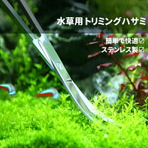 楽天市場】水草 トリミング ハサミ adaの通販