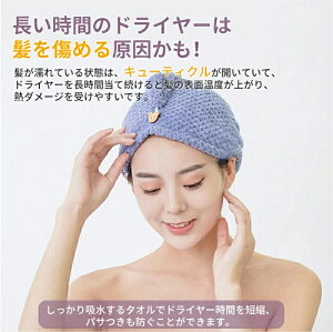 wAhC^I }CNt@Co[ ^ILbv  RۖhL ې wA^I z^I _炩 ӂӂ   hCLbv hC[Z wAPA 