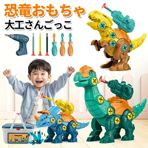 ������������ �q�ǂ� �g�ݗ��� ��H���񂲂��� �d���h�����t�� DIY�p�Y�� �m��ߋ� �j�̎q ���̎q �a�����v���[���g �����Q�[�� �����j�� �M�t�g