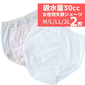 【ポスト投函便送料無料】【2枚組】【37674】【M/L/LL/3L】【大きいサイズ】女性用失禁ショーツ　尿漏れ（吸水量30cc）脇縫いなし失禁パンツ（日本製） 【敬老の日母の日プレゼント贈り物】【中失禁】【日本製】