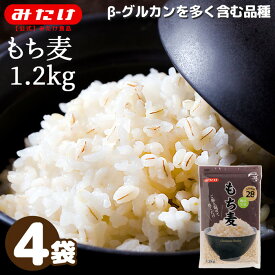 【2Hクーポンあり】みたけ もち麦（北米産）1.2kg×4袋 合計4.8kg 大容量 送料無料 水溶性食物繊維 β-グルカン カナダ産 アメリカ産 もちむぎ 麦飯 腸活 ダイエット 食物繊維 もち麦ごはん ダイエット