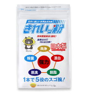 過炭酸ナトリウム（酸素系）洗浄剤　きれいッ粉　袋タイプ（1kg） 環境配慮洗剤 酸素系洗浄剤 多用途クリ…