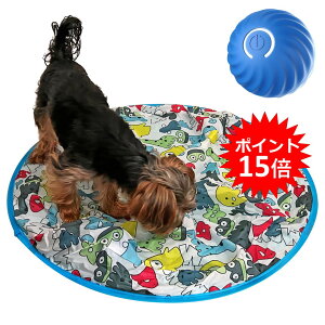 y|Cg15{I`12/12 09:59zFoily TOily   {[   d{[ قق V[g  USB[d ^ ^s XgX