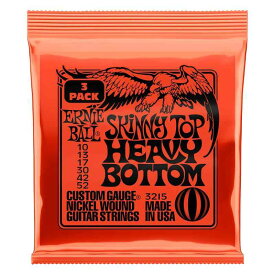 【正規品】 ERNIE BALL エレキギター弦 SLINKY