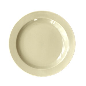 【300円OFFクーポン】大皿 プレートL 食器 チョウワ CHOWA 洋風 器 くすみカラー 料理 洋食器 メイン 肉料理 パスタ サラダ デザート プレート プレゼント 贈り物 ギフト おしゃれ 美濃焼 国産 カ