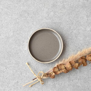 【300円OFFクーポン】プレートS 小皿 ECRU 食器 見谷陶器 迎春 お正月 平たいプレート おやつ 薬味 箸置き カトラリーレスト 醤油 和菓子 かわいい おしゃれ おつまみ 漬物 クッキー チョコレー