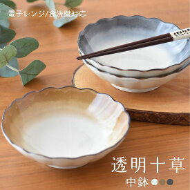 【300円OFFクーポン】中鉢 透明十草 和食器 鉢 サラダボウル 煮物鉢 フルーツボウル 500ml 食器 おもてなし 美濃焼 陶器 器 フルーツ ヨーグルト スープ サラダ シチュー おやつ 洋食器 日本 かわいい フルーツ皿 国産 シンプル 居酒屋風 食洗機対応 電子レンジ対応 見谷陶器