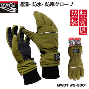 uWG-G301EhEhO[uvJjbNO[uEƃO[uEƎ܁Eh܁yMITANI@~^jR[|[Vz