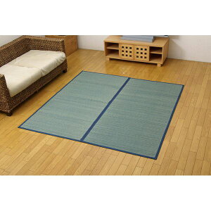 ���� �Ԃ���/���O�}�b�g �u���[ �{��6�� ��286.5×382cm ���F�s�D�z �h�� �R�ہE�h�L���� �����@�\ �k���r���O�l ���NG