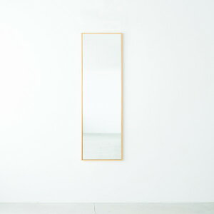 �טg�E�H�[���~���[(46×122)(�i�`������) �V�R��/�p����/�X����/������/�ؐ�/��U�h�~���H/�Ǌ|��/�k����/���{��/�����i/NK-41