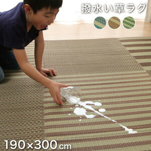 ���� ���O�}�b�g/�O�~ �i�q�� �u���[ ��190×300cm ���� ����~�� �h���@�\ �s�D�z �R�� �h�L ���� �k���r���O�l���NG
