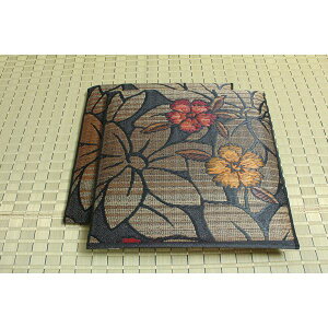 ���� ���z�c �ܐD �D���璹 2���g �u���b�N ��60×60cm×2P �R�� �h�L ���� ���{�� �Ȃł��� �k���r���O ���q �a���l���NG