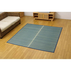 ���� �Ԃ���/���O�}�b�g �u���[ �{��4.5�� ��286.5×286cm �R�ہE�h�L���� �����@�\ �k���r���O �_�C�j���O�l ���NG