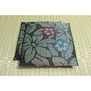 ���� ���z�c �ܐD �D���璹 2���g �u���[ ��60×60cm×2P �R�� �h�L ���� ���{�� �Ȃł��� �k���r���O ���q �a���l���NG