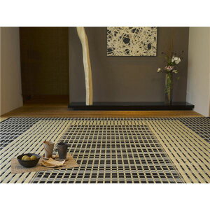 ���Y �������O�}�b�g/�O�~ 261×352cm �u���[ �R�J�r ���L �z�b�g�J�[�y�b�g ���g�[�Ή� �w�z�� ���������x �k���r���O�l���NG