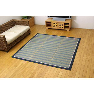 ���� ���O�}�b�g/�O�~ �u���[ ��180×180cm ���F�s�D�z �h�� �R�� �h�L �������ʕt�� �k���r���O �_�C�j���O�l���NG