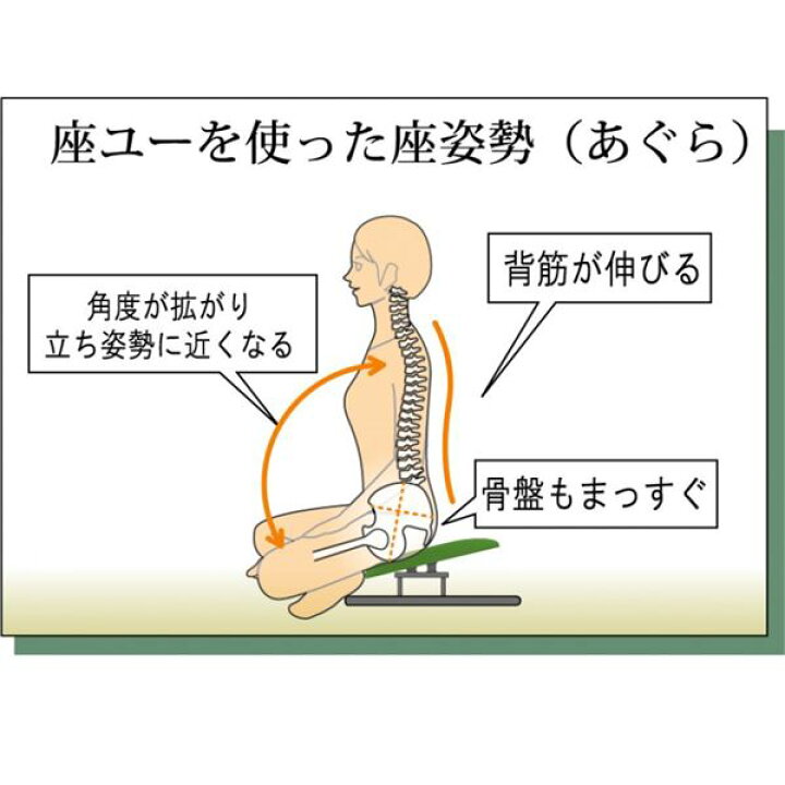 楽天市場】あぐら椅子/正座椅子 背もたれ付き モスグリーン×ブラック 