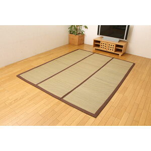 ���� ���O�}�b�g/�O�~ �`�b�v�E���^��8mm�� ��200×200cm �����` �R�� �h�L �z�b�g�J�[�y�b�g�Ή� �k���r���O �_�C�j���O�l���NG