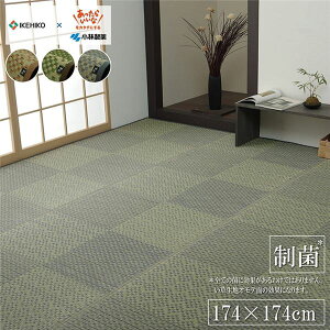 ���� �Ԃ��� ���O�}�b�g �O���[�� �]�ˊ�2�� ��174×174cm ���{�� �R�� �h�L ���L �s�� ���ѐ��� �������R�ۍ� KOBA-GUARD���NG