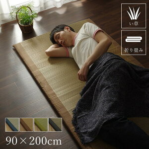 ���� �����}�b�g ���Y ����Q�}�b�g ���났 �܏�݉� �u���E�� ��90×200cm���NG