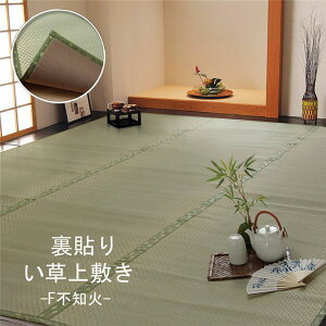 ���� ��~��/���O�}�b�g �]�ˊ�2�� ��176×176cm �����` ���{�� �E���^�� �R�� �h�L ���L ���� ��C������NG