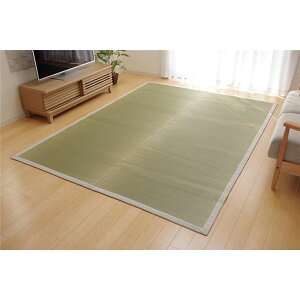 ���� ���O�}�b�g/�O�~ ��191×250cm �� ���{�� �����y ���n�E���^�� ���� �e�͐� �ϋv�� �k���r���O �_�C�j���O�l���NG