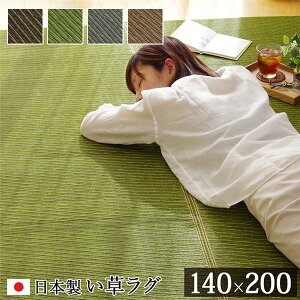 ���� ���O�}�b�g/�O�~ ��140×200cm �O���[�� ���{�� �R�� �h�L ���� ���L �h���@�\ �E���^�� �k���r���O�l���NG