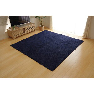 ���O�}�b�g/�O�~ 2�� ���n �l�C�r�[ ��190×190cm ���{�� �h�� �R�� �h�L �h�_�j �ʔN�g�p �V���M�[ �^�t�g �k���r���O�l���NG