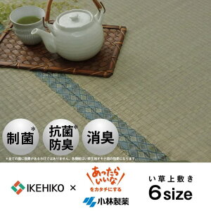 ���� ��~�� �J�[�y�b�g ���� �R�ۖh�L ���L ���ѐ���KOBA-GUARD �]�ˊ�6��(��261×352cm�j