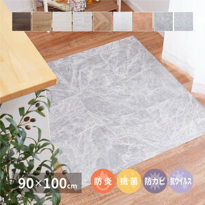 �I�ׂ�9�� �N�b�V�����t���A ��90×100cm �h�� �R�� �h�J�r �R�E�C���X �􂦂� �������@������