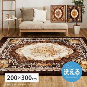 �􂦂郉�O �A�h���A ��200×300cm �����` ��􂢉� �z�b�g�J�[�y�b�g�J�o�[ ����~�ߕt�� �ԕ� �G���K���g �������@������