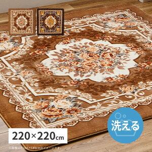 �􂦂郉�O �A�h���A ��220×220cm �����` ��􂢉� �z�b�g�J�[�y�b�g�J�o�[ ����~�ߕt�� �ԕ� �G���K���g �������@������