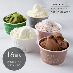 ̃ACXyA\[gz16Zbg Ⓚ /  / Mtg / 蕨 / XC[c / mَq / tX / LO / p[eB[ / ̓ / ̓ / zCgf[ / o^C ykC