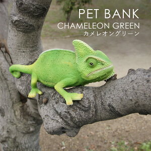 PET BANK �y�b�g�o���N CHAMELEON GREEN �J�����I���O���[�� | �J�����I�� / ������ / �I�u�W�F / �u�� / ���� / �C���e���A / �M�t�g / magnet / �}�O�l�b�g�y����E���� ���͂��s�z