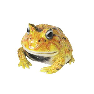 REPTILES MAG ���v�^�C���Y �}�O HORNED FROG �x���c�m�K�G�� | �^ / ������ / �I�u�W�F / �u�� / ���� / �N���b�v�z���_�[ / �f�X�N / ���� / �C���e���A / �M�t�g / magnet / �}�O�l�b�g�y����E���� ���͂�