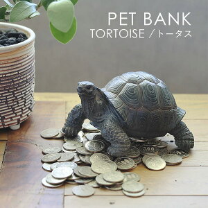 PET BANK �y�b�g�o���N TORTOISE �g�[�^�X | ���N�K�� / �T / ������ / �I�u�W�F / �u�� / ���� / �C���e���A / �M�t�g / magnet / �}�O�l�b�g�y����E���� ���͂��s�z